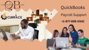 QuickBooks Payroll Support.jpg