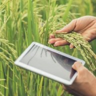 walcoseedcleaning