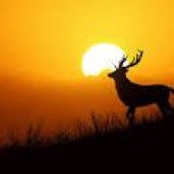 rawatsinghsuraj186@gmail.