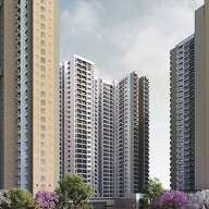 prestigesouthernstar0