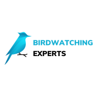 birdwatchingexperts
