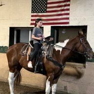 horsesforsalechicago