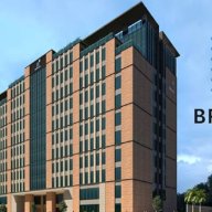 brigadecitrinedetails