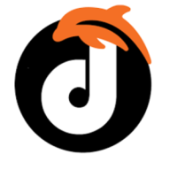 dolphinwebsolution