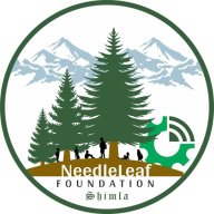 needleleaffoundation1