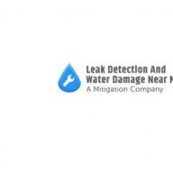 leakdetectionwaterdamagen