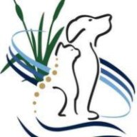 vetneurochesapeake