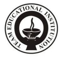 teameducationalinstitute