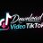 downloadvideotiktokonline